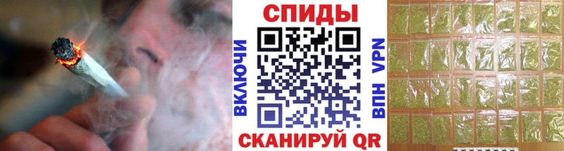 Купить  Черноголовка  Бутират оксана 