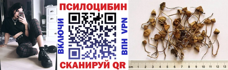 Купить где  Черноголовка  Псилоцибиновые грибы MAGIC MUSHROOMS 